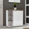Armadio multiuso 2 ante Ddigennar, 120x34h115 cm, Bianco lucido e Rovere<Dmora Clearance