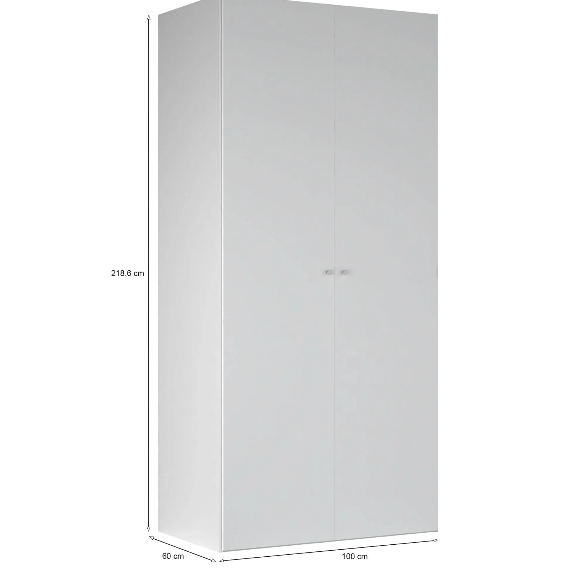 Armadio multiuso 2 ante Dventuri, 60x100 h219 cm,<Dmora Outlet