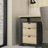 Cassettiera Drispol, 48x41 h61 cm, Rovere e Grigio<Dmora Cheap