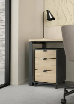 Cassettiera Drispol, 48x41 h61 cm, Rovere e Grigio<Dmora Cheap