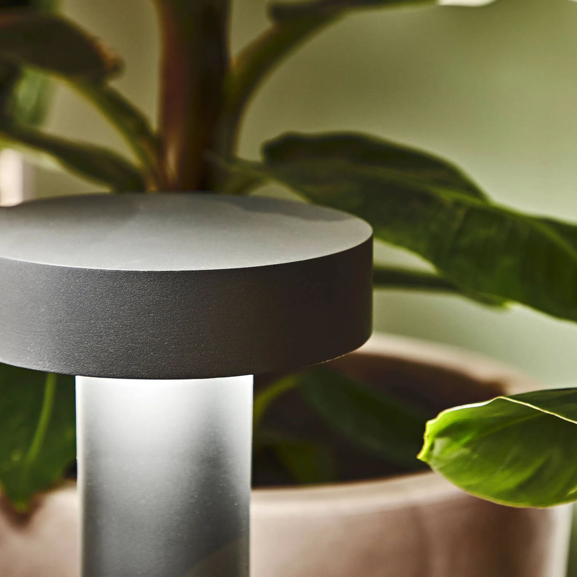 Ideal-Lux - Lampada outdoor TESLA PT4 H80 , 21 x 21 x h80 cm,<Dmora Cheap