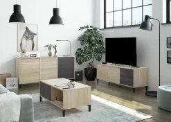 Mobile porta TV Dayha, 130x41h47 cm, Rovere e Antracite<Dmora Best Sale