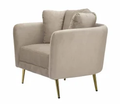 Poltrona Foster, 88x77 h74 cm, Grigio e Oro<Dmora Sale