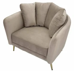 Poltrona Foster, 88x77 h74 cm, Grigio e Oro<Dmora Sale
