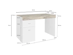 Scrivania Alpaca, cm 100x60h75, Bianco lucido e Acero<Dmora Hot