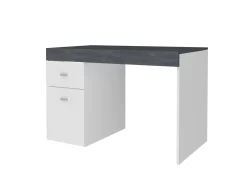 Scrivania Daucell, cm 100x60h75, Bianco lucido e Ardesia<Dmora Sale