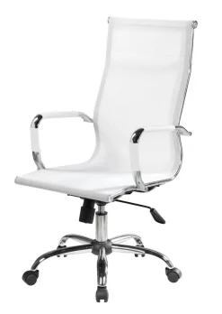 Sedia con ruote Dfrosi, , 63x54h106/116 cm<Dmora Clearance