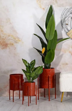 Set di 3 portavasi Cisterna, 36x36 h57 cm,<Dmora Store