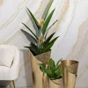 Set di 3 vasi Morrone, 39x42 h75 cm,<Dmora Flash Sale