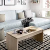 Tavolino da salotto Audi, 102x50h43 cm,<Dmora Cheap