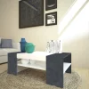 Tavolino da salotto Dfort, cm 110x60h40, Bianco lucido e Ardesia<Dmora Outlet