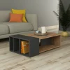 Tavolino da salotto Dmonteris, 102x60 h32 cm, Quercia e Antracite<Dmora Best Sale