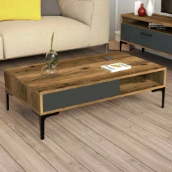 Tavolino da salotto Gru, 105x60h33 cm, Noce e Antracite<Dmora Best
