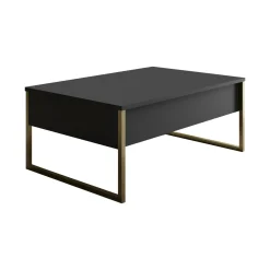 Tavolino da salotto Lavinia, 90x60h40 cm, Antracite e Oro<Dmora Discount