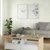 Tavolino da salotto Octavia, Tavolo basso da caffè, Portariviste per divano, Ripiano da soggiorno, 60x120 h46 cm, Rovere e Bianco<Dmora Sale