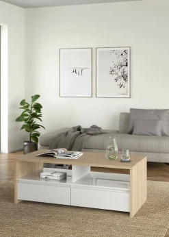 Tavolino da salotto Octavia, Tavolo basso da caffè, Portariviste per divano, Ripiano da soggiorno, 60x120 h46 cm, Rovere e Bianco<Dmora Sale